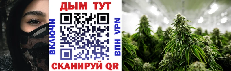 что такое   Глазов  Каннабис White Widow 
